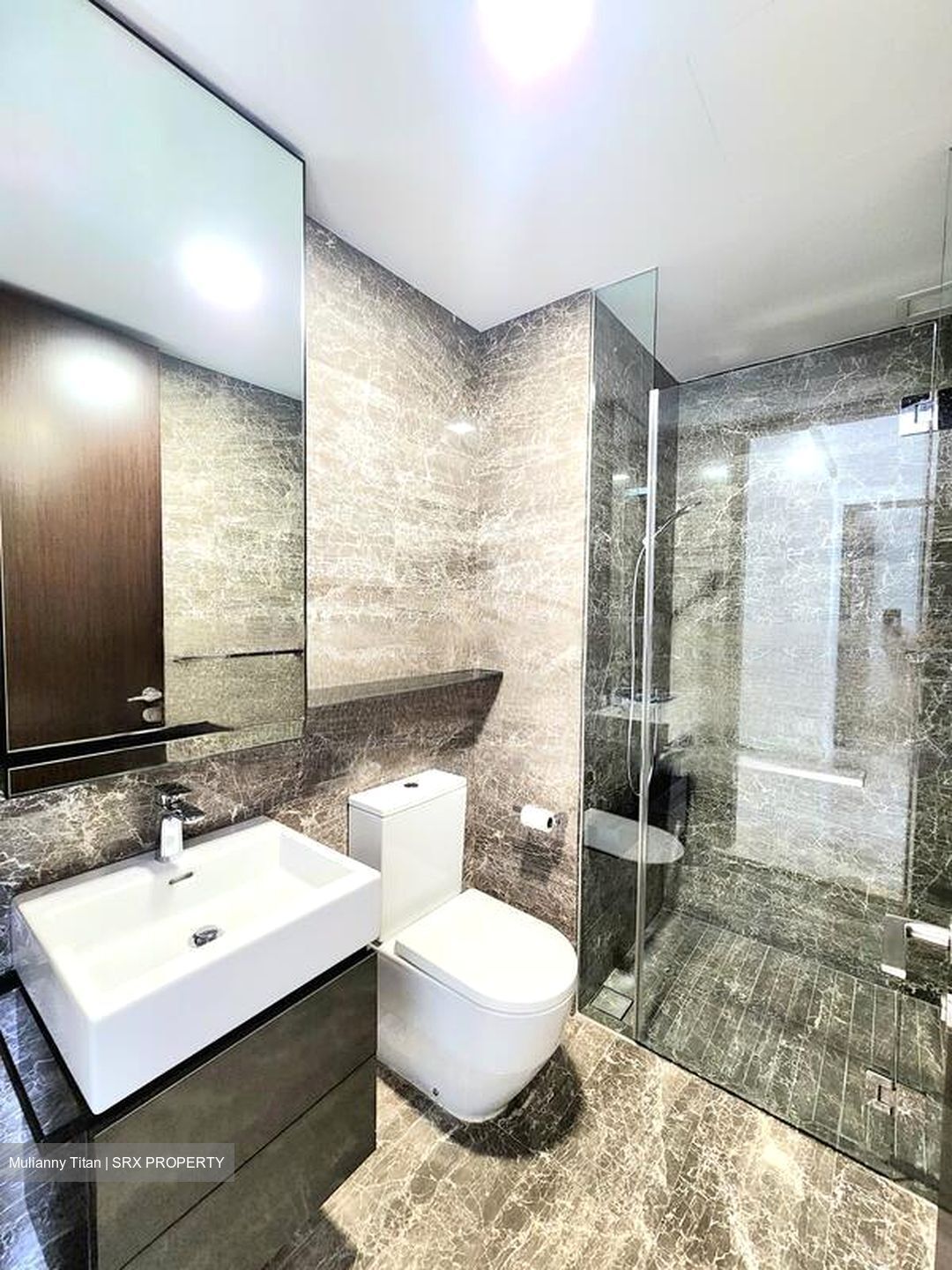 Amber 45 (D15), Apartment #468492121